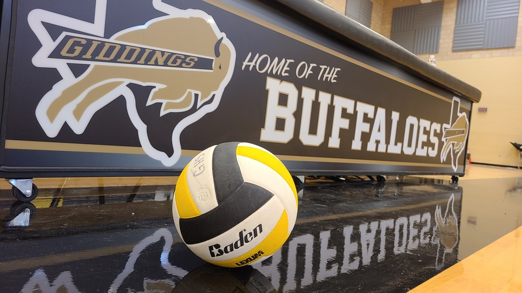 Volleyball Games